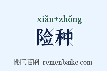 险种是什么意思的图片